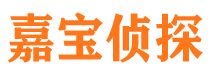 宣武市侦探调查公司